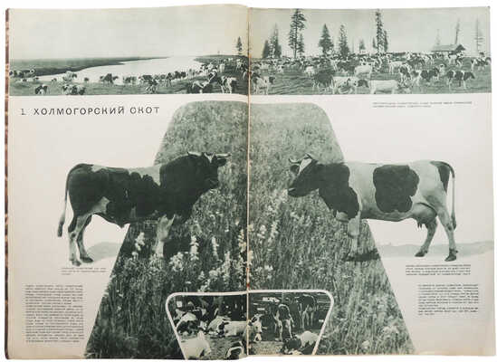 Журнал «На стройке МТС и совхозов». № 12 / Оформ. А. Шульца. М.: ОГИЗ-ИЗОГИЗ, 1935.